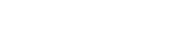 Vinicius Michalski, psicólogo e consultor de desenvolvimento humano